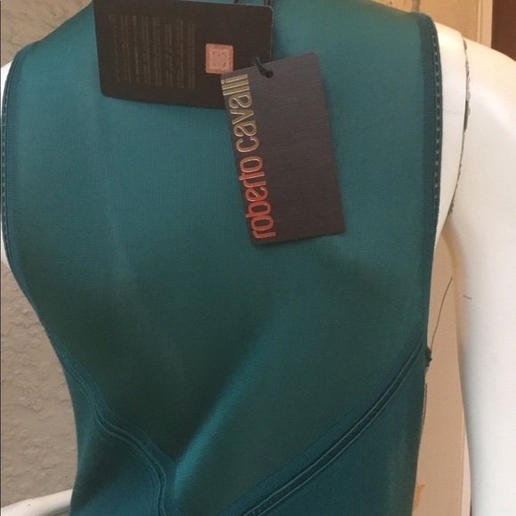 Roberto CAVALLI FLOOR LENGHT GOWNSIZE 44 ITALIAN -US LARGE - Picture 7 of 11